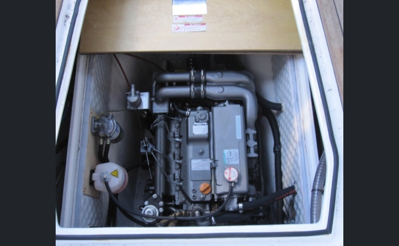 Albatross Flying 871-kuva-3